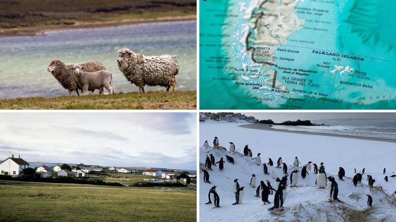 FOTO Carstvo pingvina i ovaca 'usred' oceana: Zbog Falklanda su Britanci i Argentinci išli u rat