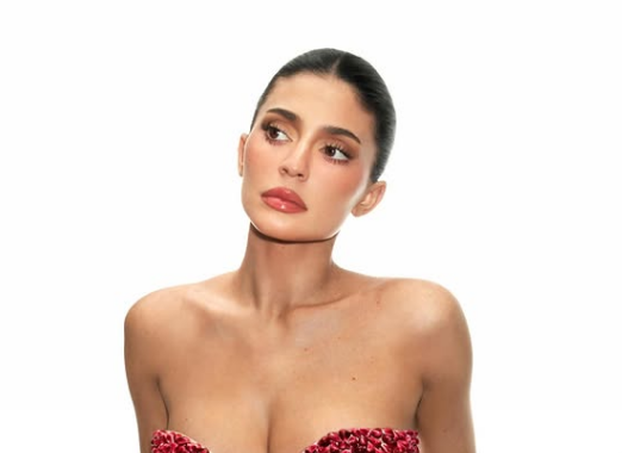 Jestivi grudnjak Kylie Jenner: Bujne obline prekrila je šipkom