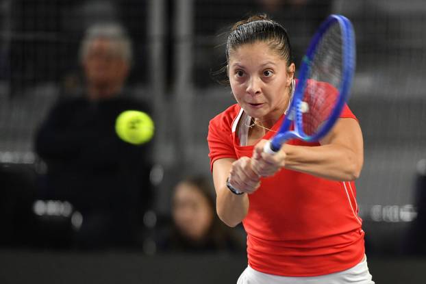 Vara&zcaron;din: Tre&cacute;i dan Billie Jean King Cup playoffa