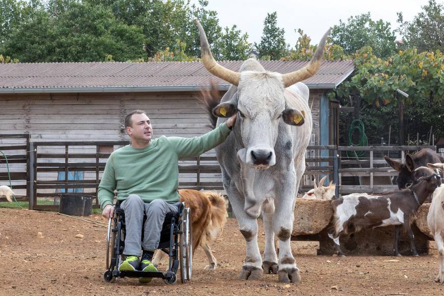 Paraplegičar Emilio (31) brine o boškarinu koji je prebolio rak: Boško je prava maza i nježni div