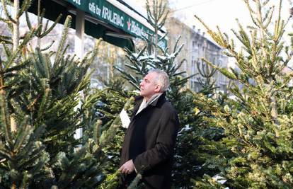 Ivo Sanader pažljivo bira božićnu jelku na Britancu 
