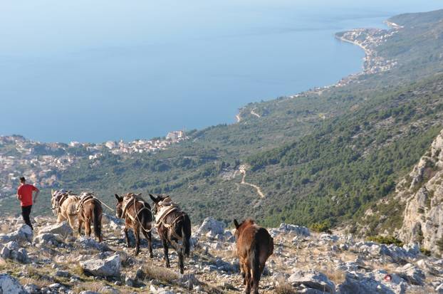 Life project of the hrvoje stonemasons from Gradac: ‘With mules I renew the church on the top of Biokovo!’