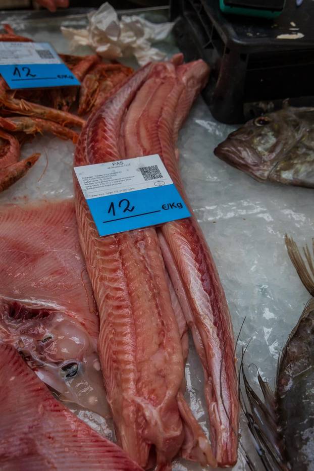 Split: Bogata ponuda ribe petkom u splitskoj ribarnici