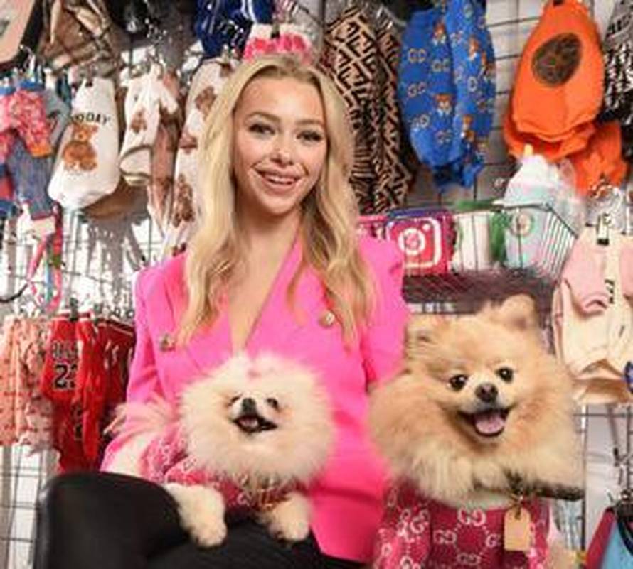 Pa ovo je Dolce Pomeraton! Na odjeću za svoja dva pomeranca potrošila je već 60.000 kuna