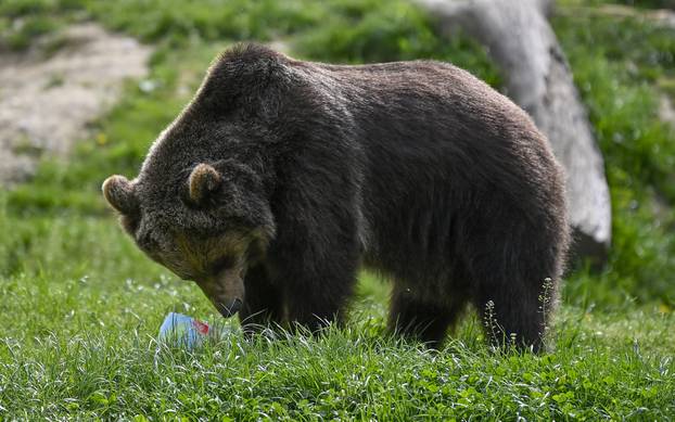 Zagreb: Podjela pisanica uz edukativni pogram za djecu u zoološkom vrtu