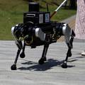 VIDEO Robotski pas vodič ima šest nogu i mogao bi pomagati milijunima slijepih i slabovidnih