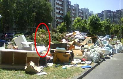 Nestrpljivi stanari livadu zatrpali gomilom otpada