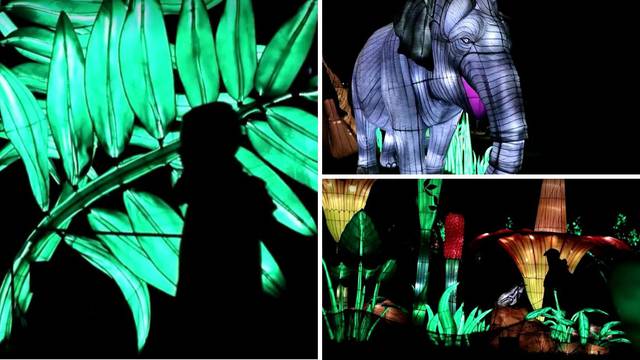 VIDEO Svjetlosne instalacije pokazuju kako je izgledao život na Zemlji u davna vremena