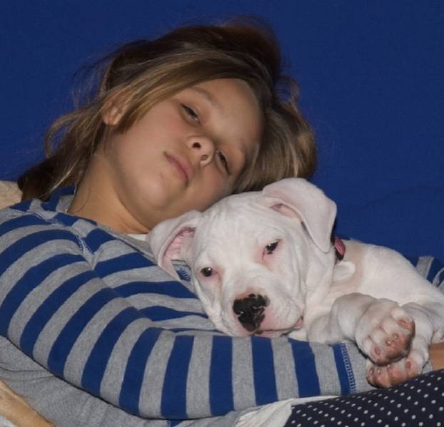 MMA snagatorica i UFC legenda se vraća nakon devet godina?!