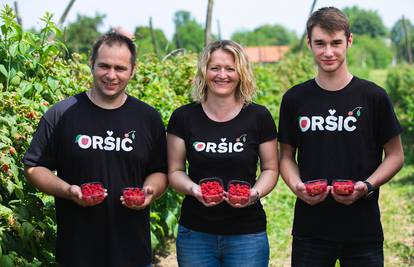 Knjaz istražuje: Odakle dolaze maline koje kupujete u Sparu