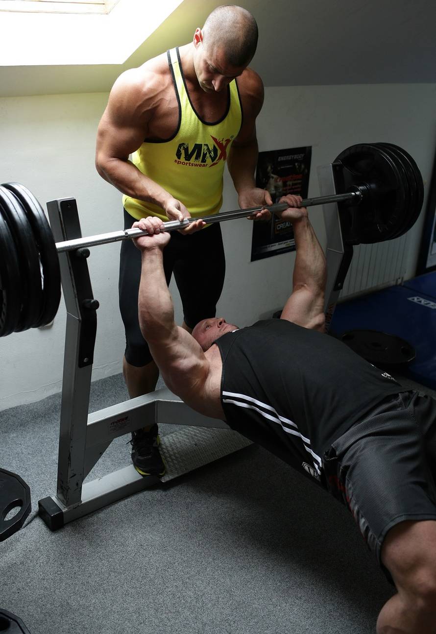 Željko Lukunić/PIXSELL