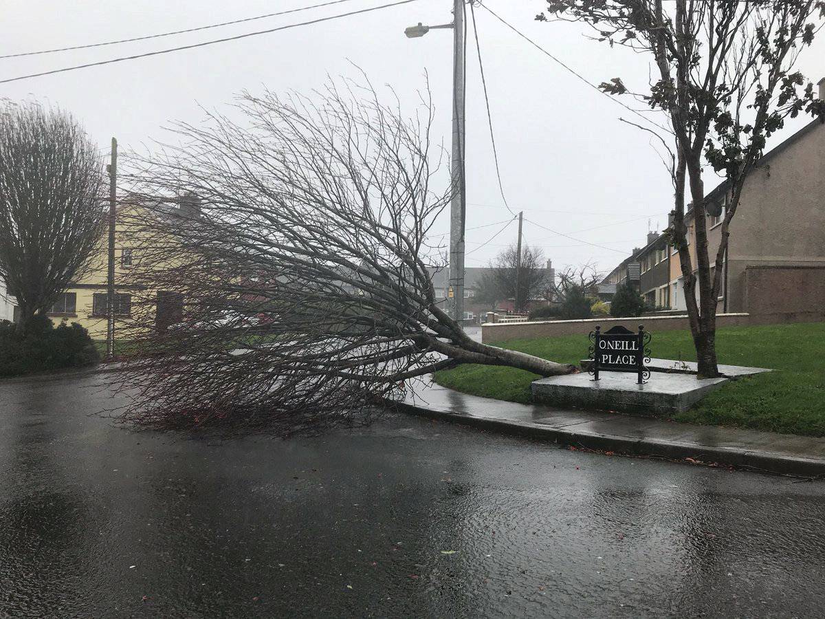 An uprooted tree lies in a road as storm Ophelia hits Cork