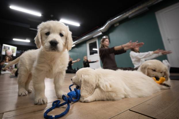 24SATA Paw Yoga, inovativni koncept joge koji je stigao u Hrvatsku
