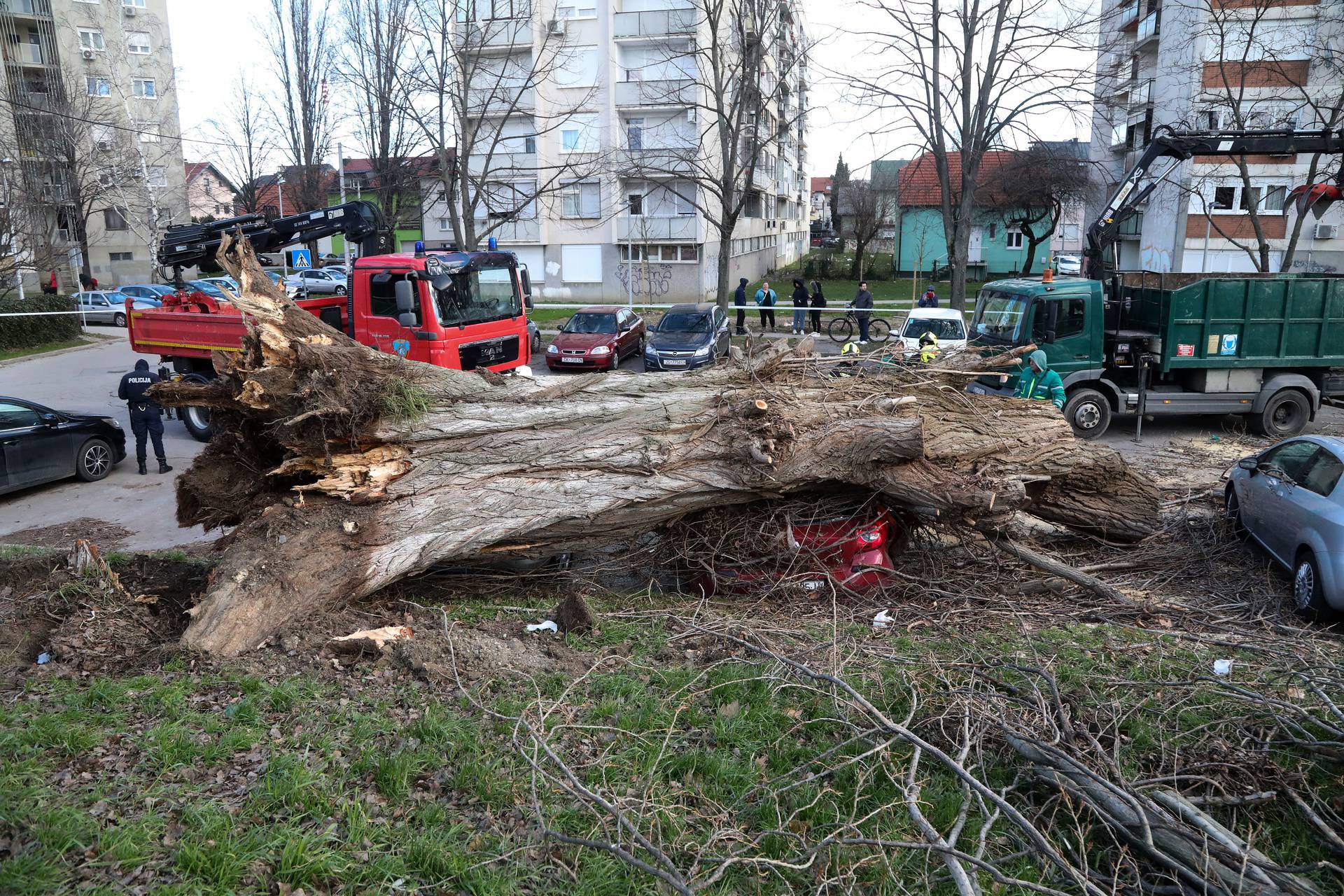 Zagreb: Vjetar srušio stablo jablana, oštećeno više automobila