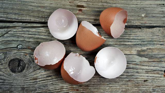 Ne bacajte ih! Evo kako možete iskoristiti ljuske jajeta u kući