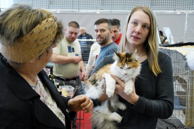 Otvorena revijalna izložba mačaka u Sisku 