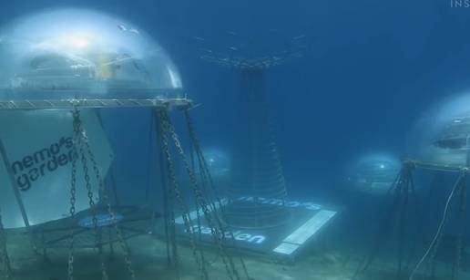 Nemov vrt - otac i sin iz Italije uzgajaju hranu na dnu mora