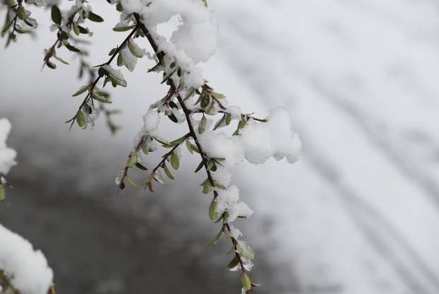 Snježni pokrivač je zabijelio je Osijek