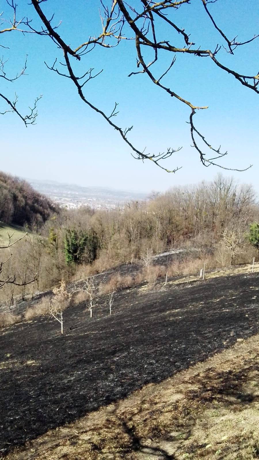 Palio travu pa zapalio susjedne parcele i dio šume: 'Vatra je došla tri metra od moje kuće'