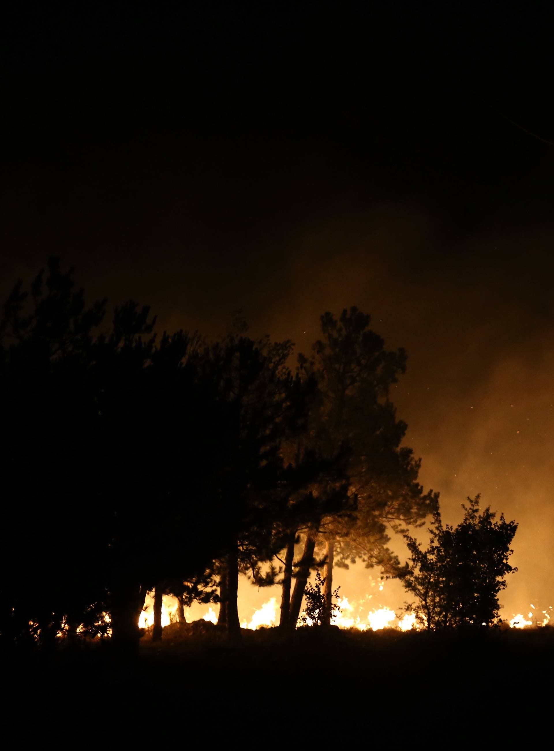 Požar se i dalje širi: S njim se bori 100-injak vatrogasaca