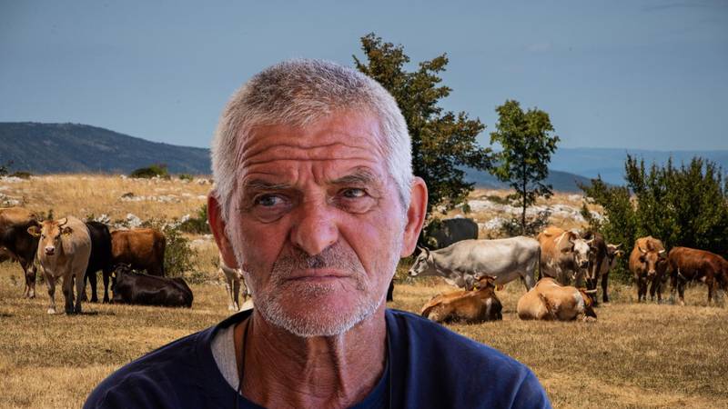 Rijeke ljudi slijevat će se u Sinj za vikend. Još traje borba protiv Bedrenice: Nije opasna za ljude