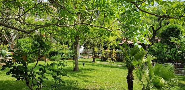 FOTO Vila iz 19. stoljeća u Bolu na Braču daje priliku da iskusite čaroliju prošlih vremena
