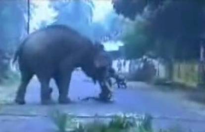 Razjareni slon pregazio vlastitog gazdu na smrt
