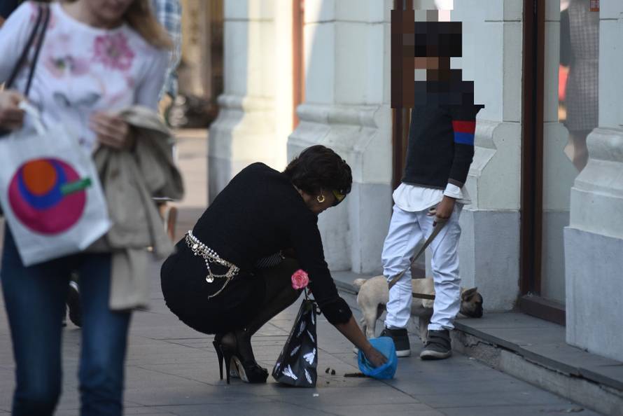 Uvijek šik: Borna je pokleknula pred kakicom svoje kujice Stele