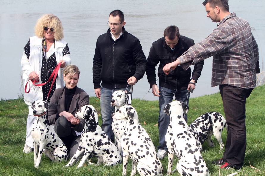 Karlovac: Na ŠRC-u Korana održana izložba autohtonih hrvatskih pasmina