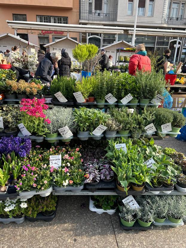 FOTO Građani šokirani! Za kilu janjetine 20 eura, rajčice po 7, a orada na Dolcu čak 28 eura