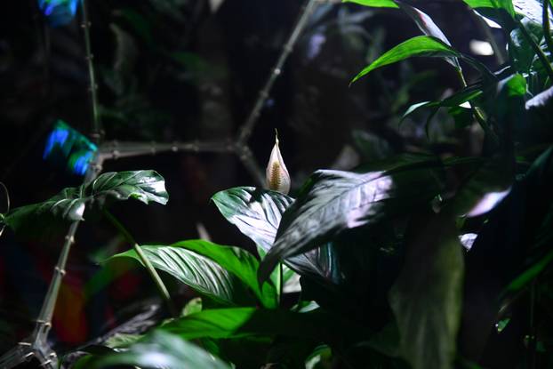 Zagreb: Instalacijom 'Disanje izvan granica' zamišlja se ljudski opstanak u svemiru