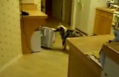Naučio psa da na zapovijed donese pivo iz hladnjaka