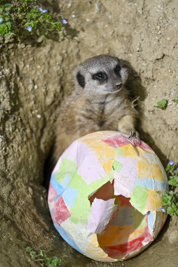 Zagreb: Podjela pisanica uz edukativni pogram za djecu u zoološkom vrtu