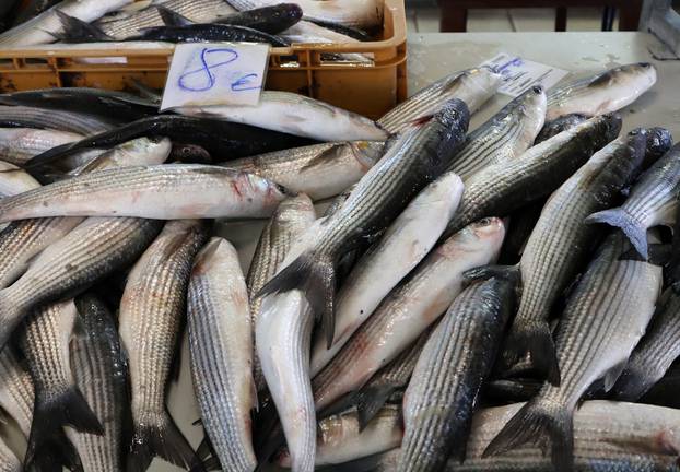 Šibenik: Ponuda ribe i ostalih morskih delicija