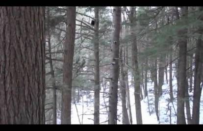 Američka obitelj snimila Bigfoota na grani u šumi? 
