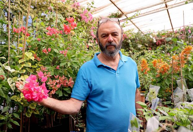 Split: Denis Bojčić, kolekcionar bugenvila