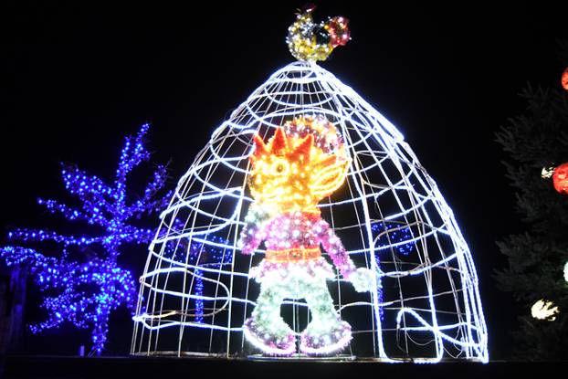 Grabovnica: Započela božićna čarolija svjetla obitelji Salaj