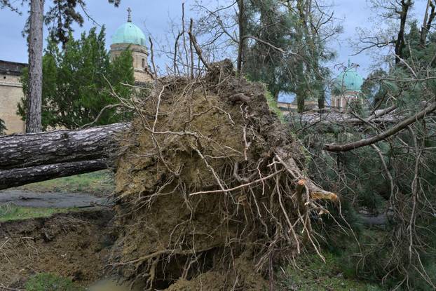 Zagreb: U nevremenu teško  oštećeno gradsko groblje Mirogoj
