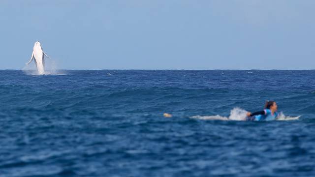 Surfing - Women's Semifinals - Heat 2