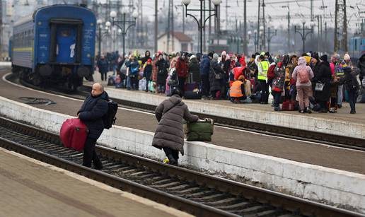 Hrvatska veleposlanica: Lavovu su potrebni hrana i lijekovi