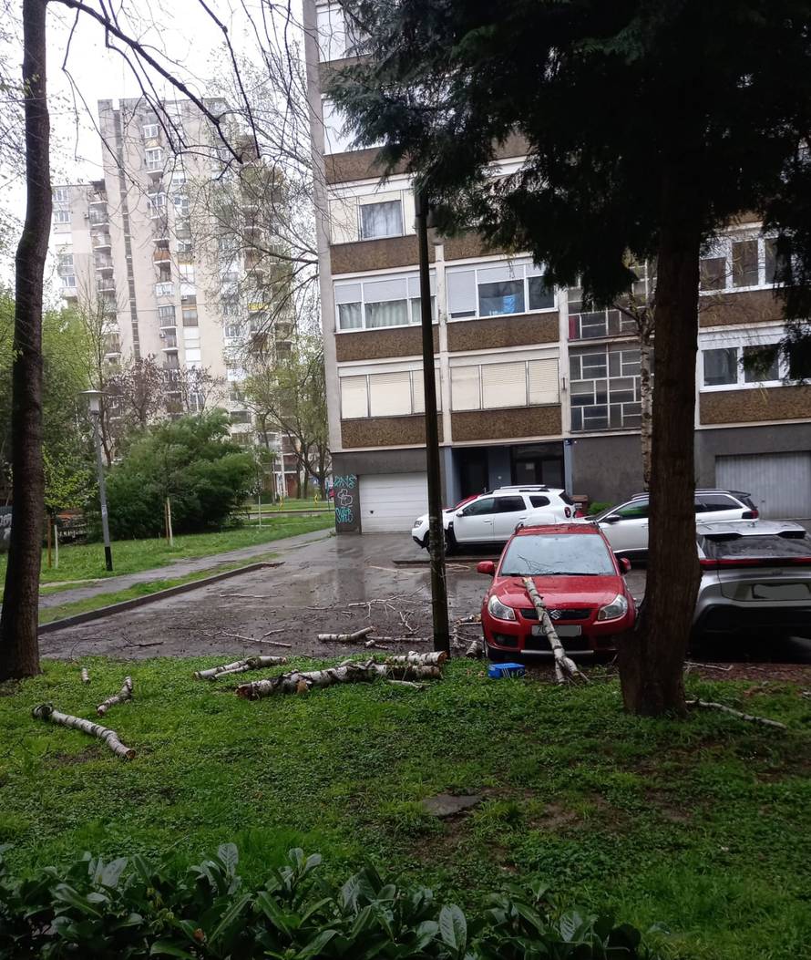 VIDEO Vjetar rušio stabla u Novom Zagrebu: 'Palo je na susjedov auto i razbilo šajbu'