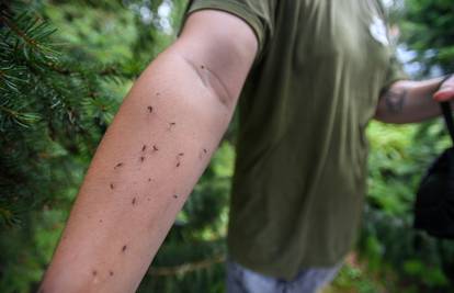 Osijeku prijete nove generacije poplavnih komaraca