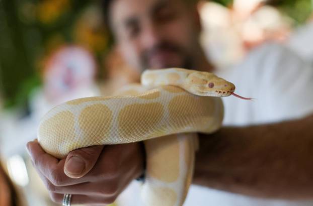 Zagreb: Emilija i Amer Alaydi otvorili su kafić Animal caffe