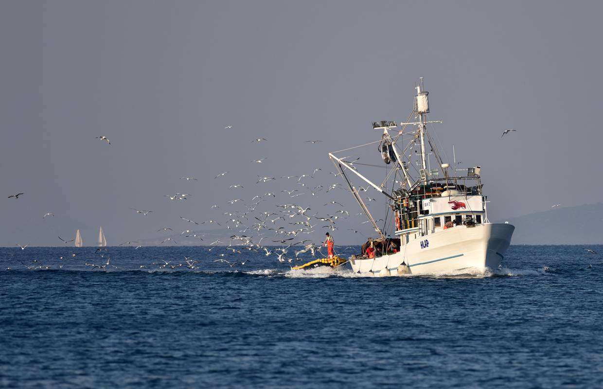 Za oporavak zaliha ribe treba zaštititi 30 posto Mediterana