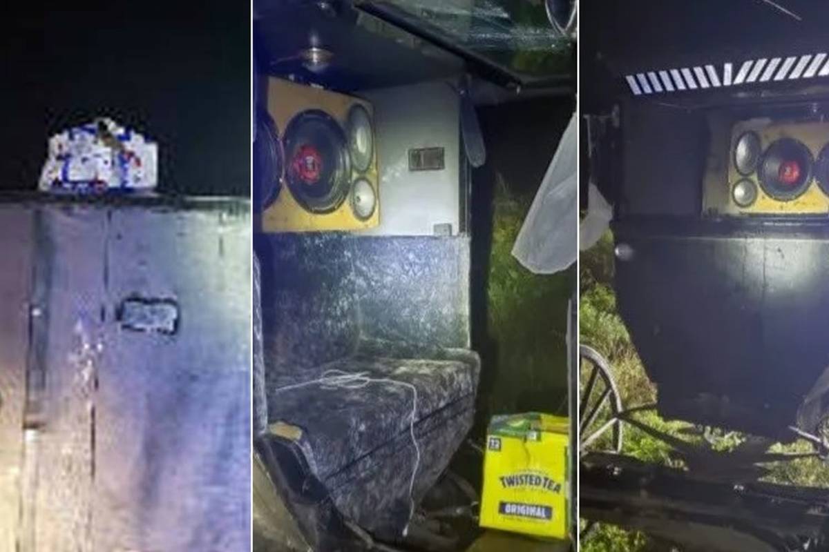 SAD: Policija zaustavila amiše sa stereo uređajem i alkoholom