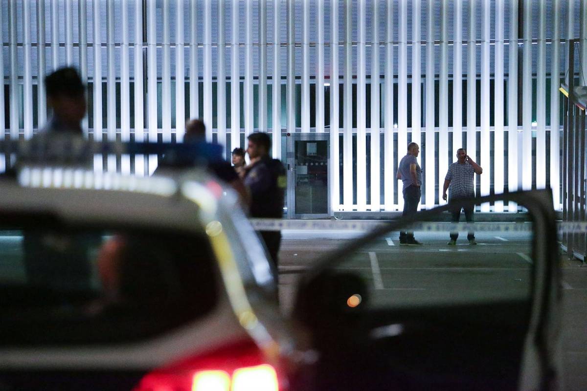 Ranili ga zaštitari kod Lesnine, pobjegao je bez plijena, a odslužit će 15 godina zatvora