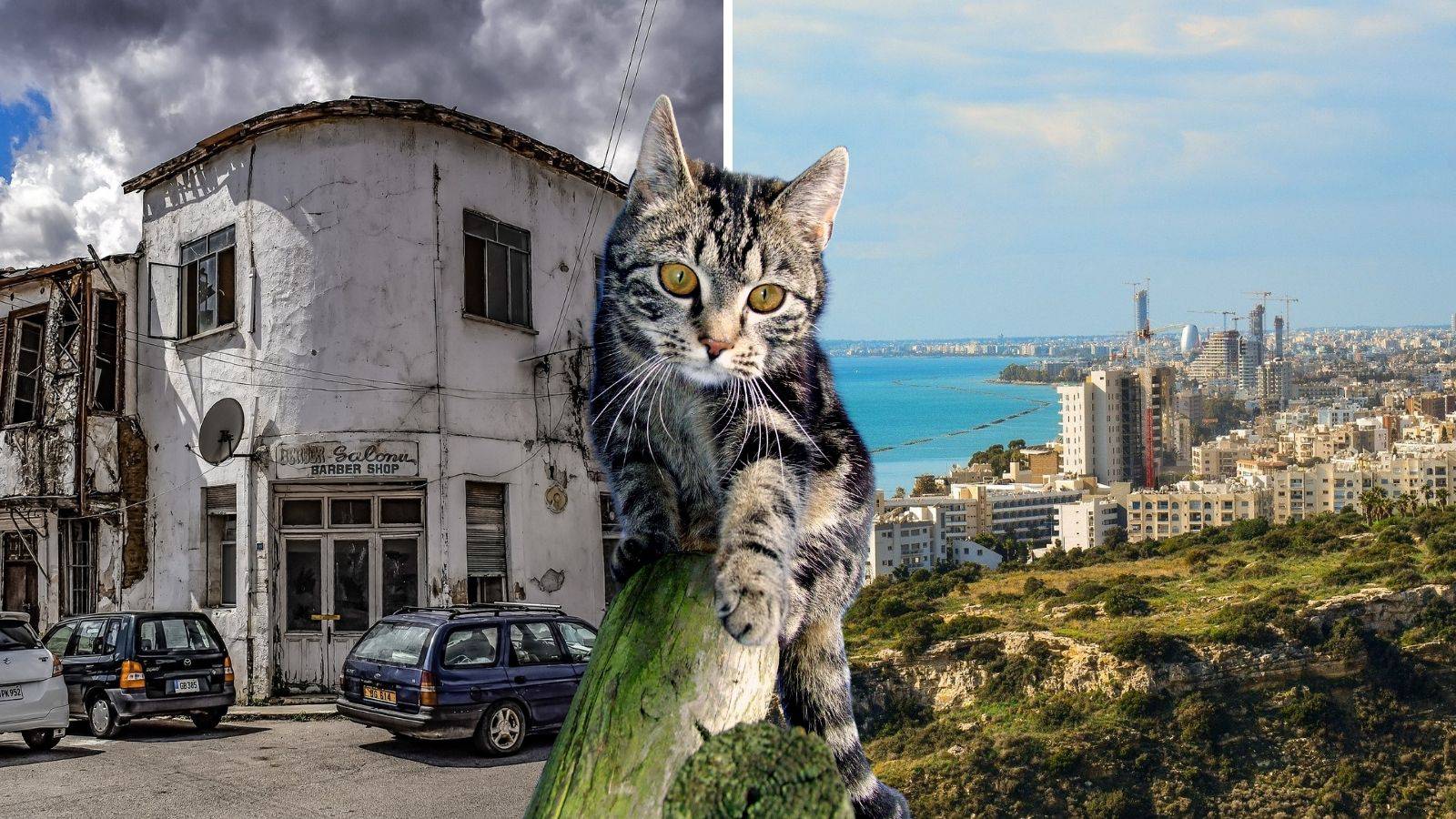 Nepoznato o Cipru: Imaju više mački nego ljudi, taksisti ne vraćaju kusur, a izmislili su vino