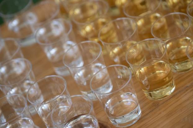 Zagreb: Održana ćevapijada u organizaciji Macaklin social cluba