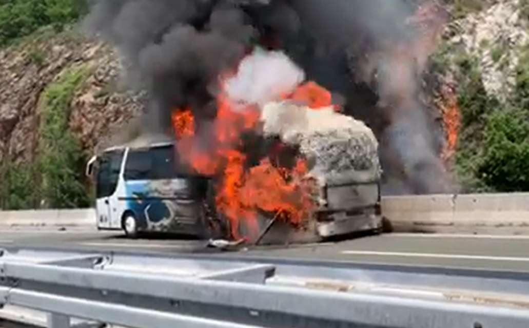 Video: Autobus je izgorio kod Rijeke, požar se širio i na šumu