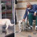 Vjeran pas pred bolnicom čekao bolesnog vlasnika čak šest dana